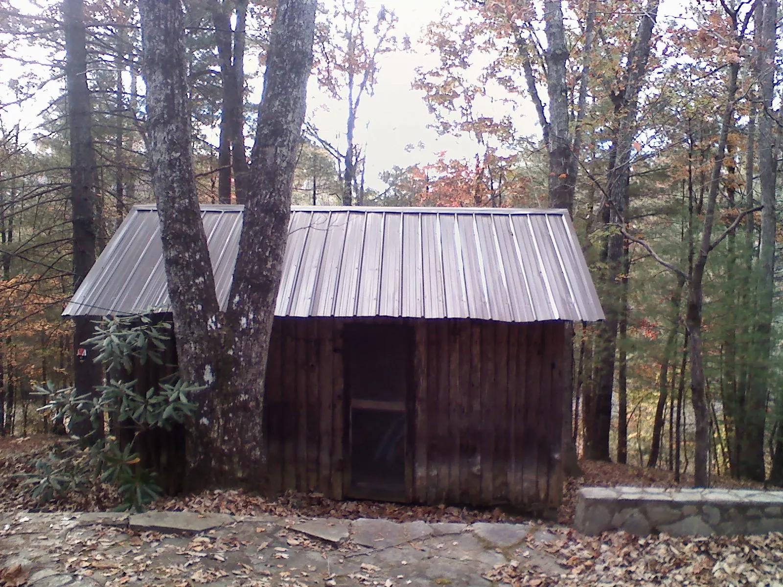 New metal gable roof on a small log shed among the trees in Brookfield